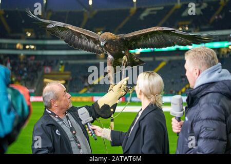 Fußball Frankfurt-Leipzig, Frankfurt, 4. Februar 2020. Laura PAPENDICK, Sport1 TV-Moderatorin, mit Stefan EFFENBERG, Co-Moderatorin Sport1, Ex-Fußballspielerin ATTILA, der Adler als Maskottchen von Eintracht, falkner Norbert Lawitschka EINTRACHT FRANKFURT - RB LEIPZIG 3-1 - DFB-REGELUNGEN VERBIETEN JEDE VERWENDUNG VON FOTOS als BILDSEQUENZEN und/oder QUASI-VIDEO - DFB-Pokal, Deutscher Fußball-Pokal, Best of Eight, Frankfurt, 04. Februar 2020. Staffel 2019/2020, © Peter Schatz / Alamy Live News Stockfoto