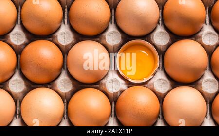 Hühnereier in Kartonschachtel - Seitenanfang Stockfoto