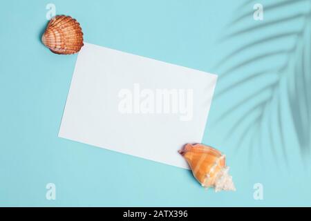 Seashells und Palmschatten auf blauem Hintergrund, Draufsicht. Planung von Sommerferien. Flaches Lay mit leerem Papier, Platz für Text Stockfoto