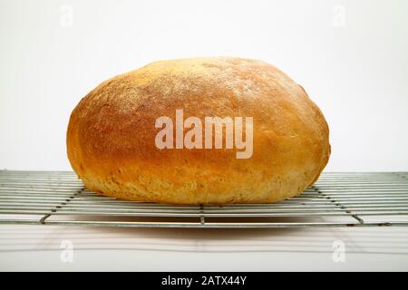 Frisch gebackenes Brotlaib auf einem Kühlregal, isoliert auf weißem Hintergrund Stockfoto