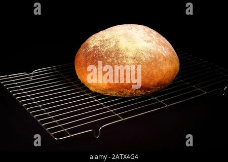 Frisch gebackenes Brotlaib auf einem Kühlregal, isoliert auf schwarzem Hintergrund Stockfoto