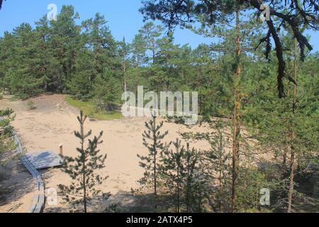 Lahemaa Nationalpark, Estland Stockfoto