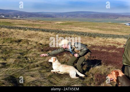 Trainingseinheit "Gun Dogs" Barden moor Yorkshire Dales UK Stockfoto