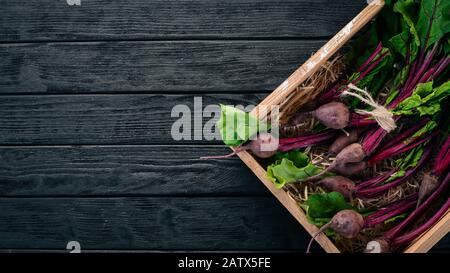 Frische Rüben in Holzschachtel. Auf Holzgrund. Draufsicht. Kopierbereich. Stockfoto