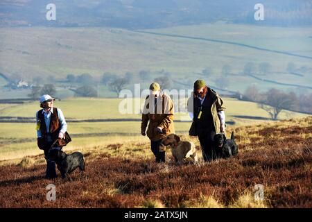 Waffenhunde Trainingseinheit Barden moor Yorkshire Dales UK drei Frauen gehen mit ihren Hunden durch das Moor Stockfoto