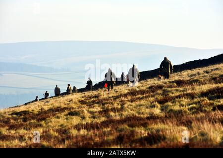 Trainingseinheit "Gun Dogs" Barden moor Yorkshire Dales UK Stockfoto