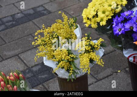 Gelbe Mimosen in Blumensträußen, in weißem Papier in grauer Vase gehüllt. Bunte Blumensträuße im Hintergrund. Dreieckszusammensetzung. Stockfoto