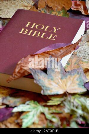 Geschlossene bibel mit Deckel und goldenen Buchstaben darauf zwischen bunten Herbstblättern Laub Stockfoto