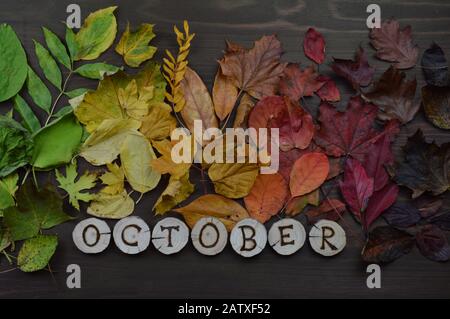 Bunte Herbstblätter im Farbverlauf von grün, gelb, orange, dunkelrot bis braun auf Holz mit Buchstaben, die den Namen des Kalendermonats OKTOBER bilden Stockfoto