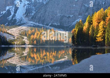 Orangegelbe Reflexionen auf dem Wasser des Herbstseekollettes Stockfoto