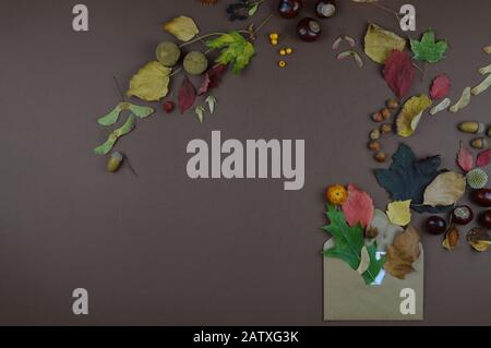 colorful leaves, seeds, chestnuts, nuts and other fall fruits coming out of open envelope as autumnal greetings on brown background Stockfoto