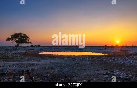 Sonnenuntergang über dem Wasserloch des Okaukuejo Camps in Etosha, Namibia Stockfoto