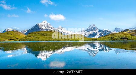 Die Gipfel Schreckhorn und Finsteraarhorn spiegeln sich im Bachalpsee, Grindelwald, Berner Oberland, Schweiz, wider Stockfoto