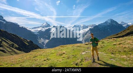 Wanderer auf dem Wanderweg nach Bachalpsee, hinter schneebedeckten Schreckhorn und Eiger, Grindelwald, Bern, Schweiz Stockfoto