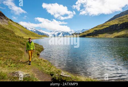 Wanderer am Bachalpsee, Schreckhorn und Finsteraarhorner Gipfel, Grindelwald, Berner Oberland, Schweiz Stockfoto