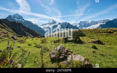 Wanderer steht auf einem großen Felsen, hinter ihm schneebedeckte Schreckhorn und Wetterhorn, Grindelwald, Bern, Schweiz Stockfoto