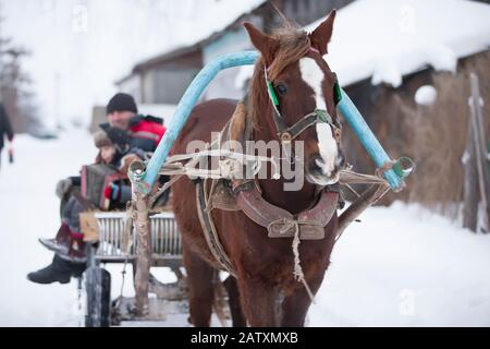 Russisches Pferd in einem Wagen trägt Dorfleute Stockfoto
