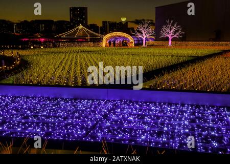 TOKYO MEGA ILLUMI 2020 Stockfoto