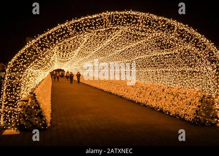 TOKYO MEGA ILLUMI 2020 Stockfoto