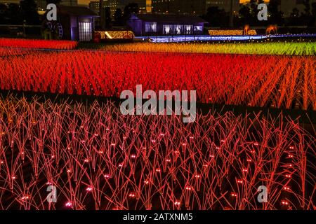 TOKYO MEGA ILLUMI 2020 Stockfoto