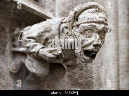 Wasserspeier im Rathaus oder Rathaus am Marienplatz in München, Bayern, Deutschland. Dieses Gebäude ist ein berühmtes Wahrzeichen Münchens. Gotische Wasserspeier wie Mediev Stockfoto