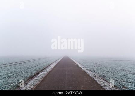 Asphalt-Gasse durch Agrarfelder in Süddeutschland, in der Nähe der Stadt Stuttgart. Dichter Nebel und frostbedeckte Felder an einem kalten Wintertag Stockfoto