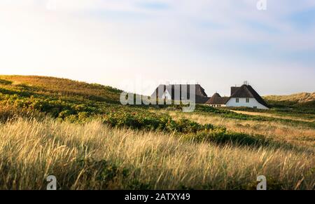 Frisia spezifische Häuser mit Schilfdach und Hügeln mit Marramgras und Moos, auf der Sylter Insel, Deutschland, an einem Sommertag. norddeutsche ländliche Landschaft. Stockfoto