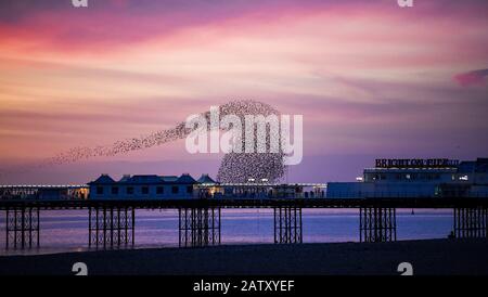 Brighton UK 5. Februar 2020 - Starlinge schaffen an diesem Abend spektakuläre Formen über dem Brighton Palace Pier bei ihrer täglichen Murtrierung in der Dämmerung. Für die nächsten paar Tage wird in Großbritannien ein noch feineres Wetter prognostiziert, bevor stürmisches Wetter am Wochenende eintreffen wird. Kredit: Simon Dack / Alamy Live News Stockfoto