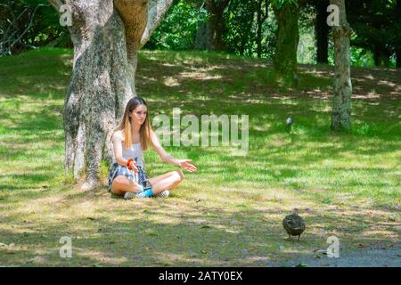 Das attraktive Mädchen im Teenager-Alter, das an der Baumbasis sitzt, hält die Hände aus ermutigender Ente, die aufgebügelt wird. Stockfoto