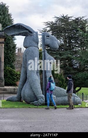 Lady Hare Sitzt von Sophie Ryder im Yorkshire Sculpture Park, West Bretton, Wakefield, Großbritannien Stockfoto