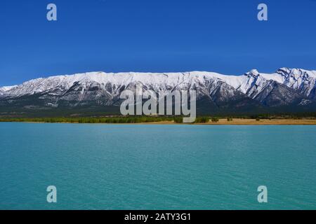 Schöner blauer Abraham-See mit hohen Bergen, die im Hintergrund schneebedeckt sind. Sonniger Tag, blauer Himmel, Kootenay Ebenen Ökologisches Reservat. Kanada. Stockfoto