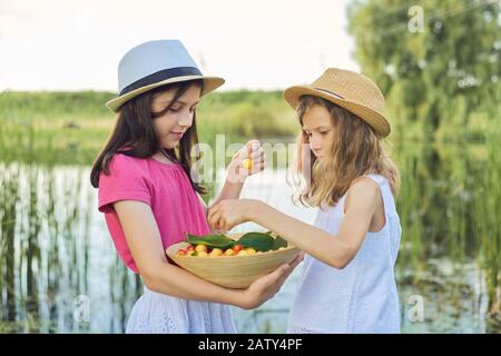 Zwei Mädchen, die gelbe Kirschen essen, Sommertag in der Natur, Ernte von süßen frischen natürlichen Bio-Kirschen in der Schüssel in den Händen von Kindern Stockfoto