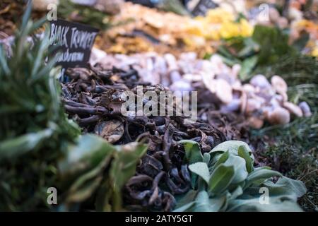 Verschiedene Pilzarten, die an einem Schalter am Borough Market verkauft werden Stockfoto