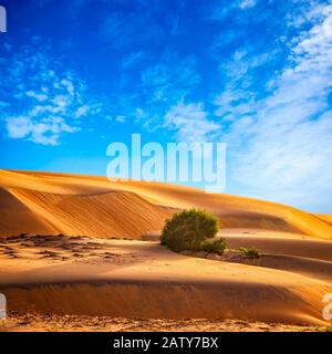 Naturhintergrund mit Wüstenlandschaft und blauem Himmel in Marokko, Nordafrika. In der Sahara gibt es Sanddünen Stockfoto