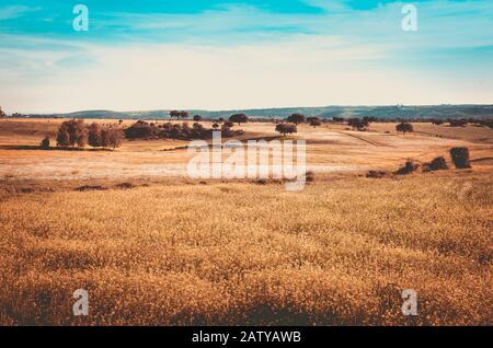 Herbstlandschaft in Alburquerque, Extremadura, Spanien Stockfoto