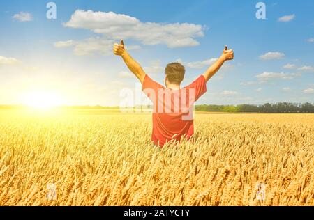 Glücklicher Bauer, Geschäftsmann, der mit den Händen nach oben und den Daumen nach oben auf dem Weizenfeld über Windturbinen steht Stockfoto