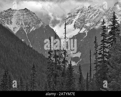 Landschaft des Yoho National Park, Kanada mit schneebedeckten Bergen und Wald an einem regnerischen Tag Stockfoto