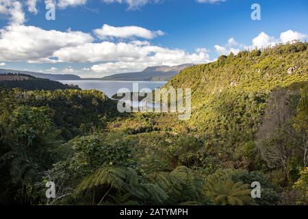 Blick auf den Mount Tarawera über den Lake Tarawera mit üppigem Wald im Vordergrund und trübem blauem Himmel, Rotorua, Neuseeland Stockfoto