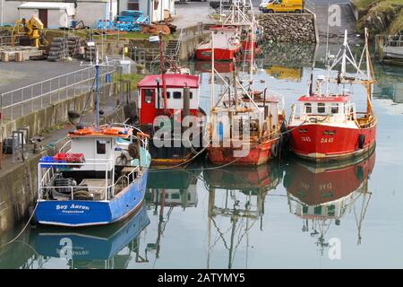 Bunte kleine Fischerboote moorierten an einem ruhigen Tag im inneren Hafen von Port Oriel an der Ostküste Irlands im County Louth. Stockfoto