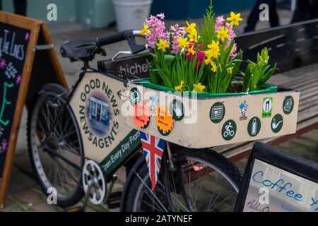 Frühlingsblumen im Korb eines alten Fahrrades vor einem Zeitungskiosk Stockfoto