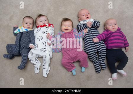 5 Babys in. Eine Reihe, Großbritannien Stockfoto