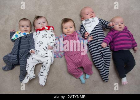 5 Babys in. Eine Reihe, Großbritannien Stockfoto