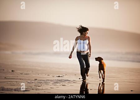 Schwangere Frau läuft mit Hund am Strand entlang Stockfoto
