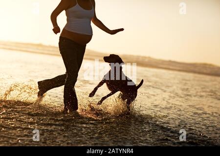 Schwangere Frau, die mit Hund im Ozean spielt Stockfoto