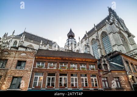 Die Kathedrale Unserer Lieben Frau, niederländisch: Onze-Lieve-Vrouwekatheatre und historische Häuser im alten Stadtviertel in Antwerpen, Flanders, Belgien, Europa Stockfoto
