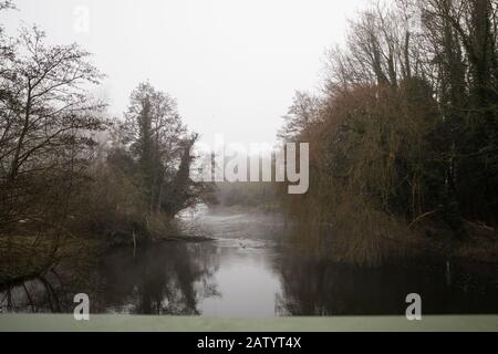 Denham, Großbritannien. Februar 2020. Morgennebel liegt am Fluss Colne bei Denham Ford im Denham Country Park. Die Arbeiten, die in Verbindung mit der Hochgeschwindigkeitsstrecke HS2 geplant sind, werden voraussichtlich einen Bailey-Brückenübergang direkt hinter dem alten Erlen links und Weidenbaum rechts und eine Verbindung im alten Wald rechts umfassen, die Teil eines Naturschutzgebietes ist. Umweltaktivisten besetzen nahe gelegene Bäume, um die Arbeit zu verhindern. Credit: Mark Kerrison/Alamy Live News Stockfoto