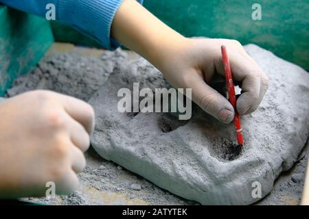 Kind, das Fossil-, Mineral- und Schatzgräbenspiel spielt. Das Kind verwendet Werkzeuge, z. B. eine Bürste. Stockfoto