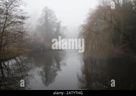 Denham, Großbritannien. Februar 2020. Morgennebel liegt am Fluss Colne bei Denham Ford im Denham Country Park. Die Arbeiten, die in Verbindung mit der Hochgeschwindigkeitsstrecke HS2 geplant sind, werden voraussichtlich einen Bailey-Brückenübergang direkt hinter dem alten Erlen links und Weidenbaum rechts und eine Verbindung im alten Wald rechts umfassen, die Teil eines Naturschutzgebietes ist. Umweltaktivisten besetzen nahe gelegene Bäume, um die Arbeit zu verhindern. Credit: Mark Kerrison/Alamy Live News Stockfoto