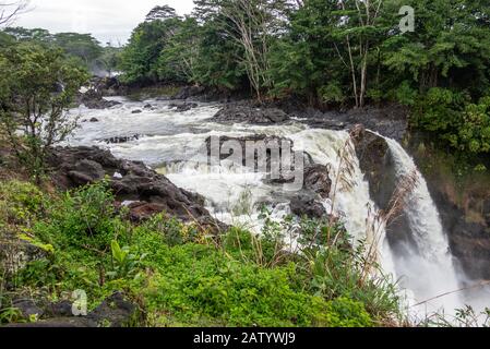 Hilo, Hawaii, USA. - 14. Januar 2020: Das Wasser läuft über den Rand der White Rainbow Falls am Wailuku River, umgeben von grünen Bäumen und Pflanzen. Stockfoto