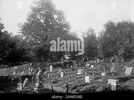 Hundefriedhof - Hartsdale [zwischen ca. 1910 und ca. 191] Stockfoto